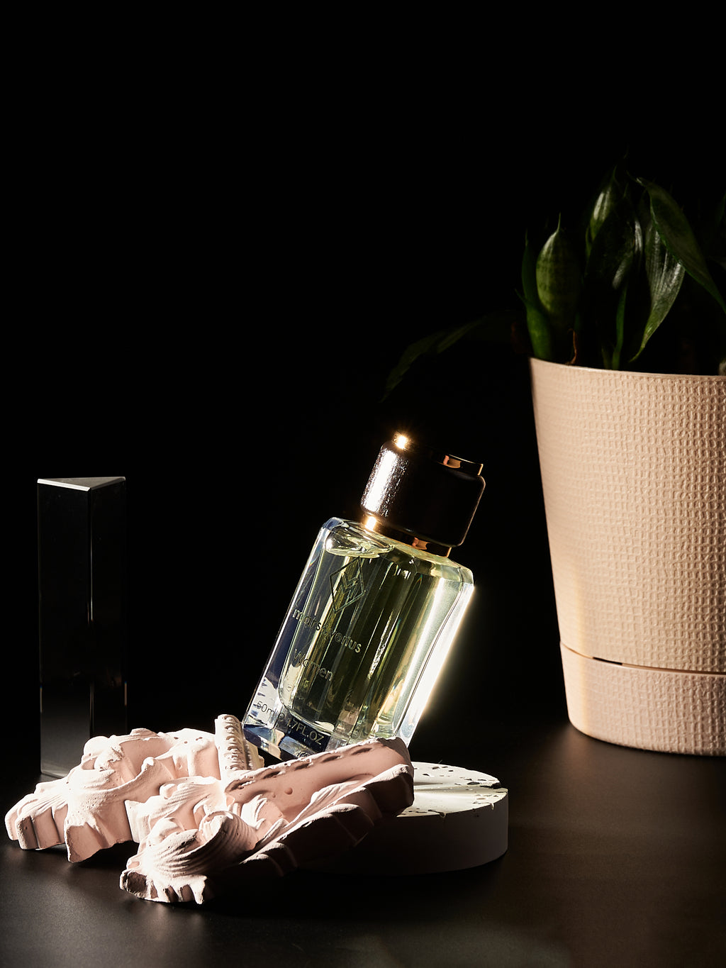 THE BEST GIRL W421 EAU DE PARFUM 50 ML BY MARS&VENUS