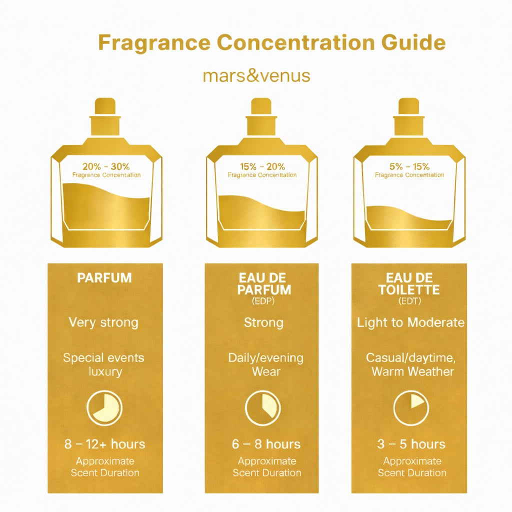 Infografik „Fragrance Concentration Guide“ mit drei goldenen Parfumflakons auf hellem Hintergrund. Vergleich von Parfum (20–30 %, sehr stark, ca. 8–12 Stunden Haltbarkeit), Eau de Parfum (15–20 %, stark, ca. 6–8 Stunden) und Eau de Toilette (5–15 %, leicht bis moderat, ca. 3–5 Stunden).